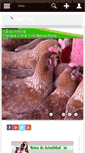 Mobile Screenshot of agrocosur.com